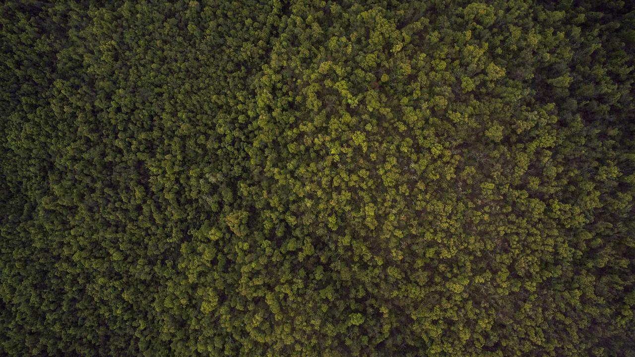 資料を使って入会特典を賢く比較する方法