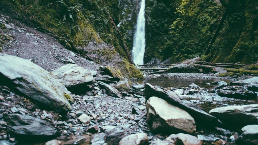 資料請求でわかる！各社の会員の職業傾向