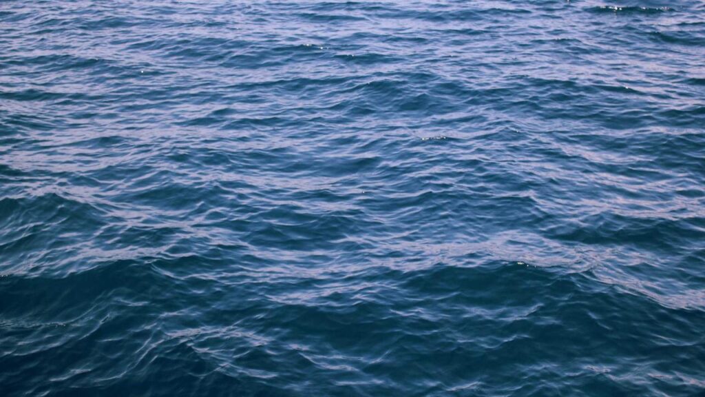 婚活Leadで見つける地域密着の有力相談所