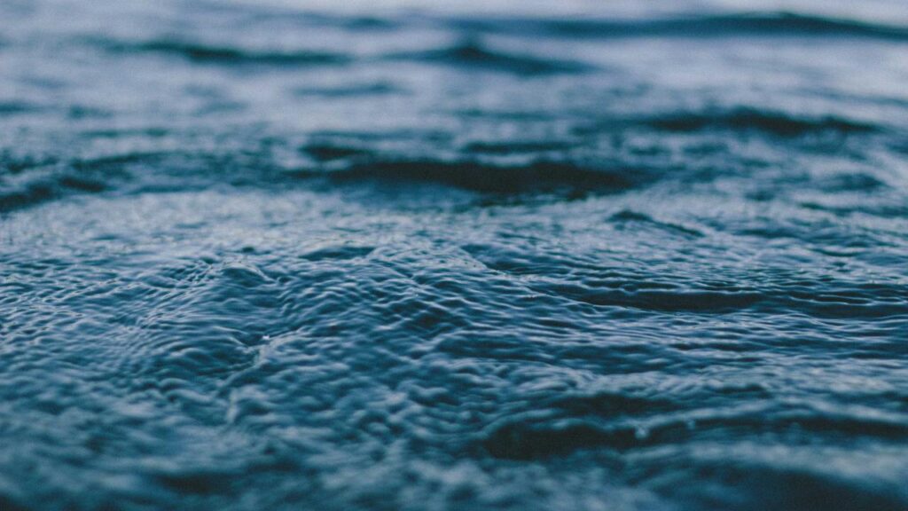 パートナーエージェントのコンシェルジュの指名