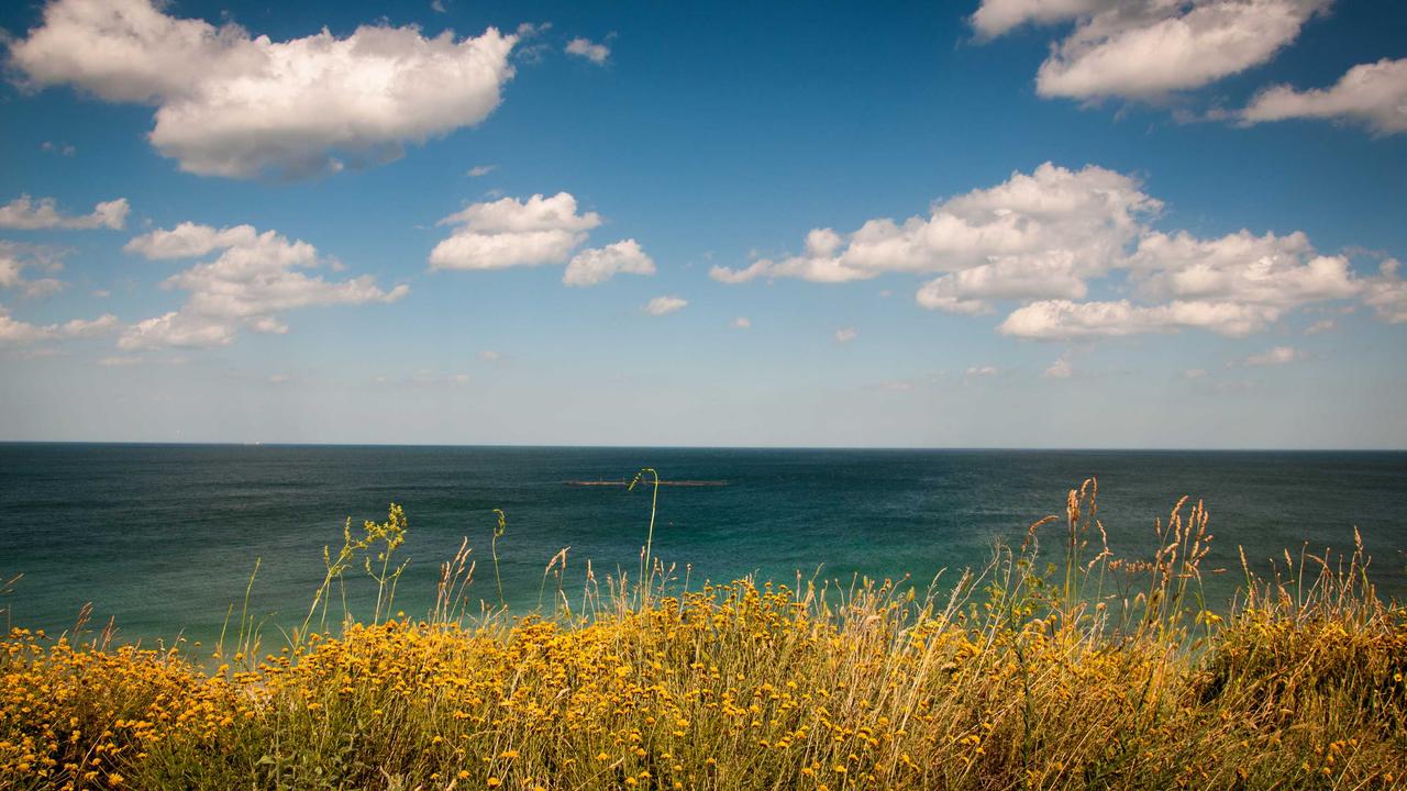 パートナーエージェントの入会金返金保証の条件