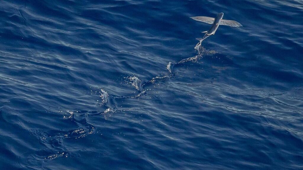 結婚後の「親との同居」についての本音の話し合い