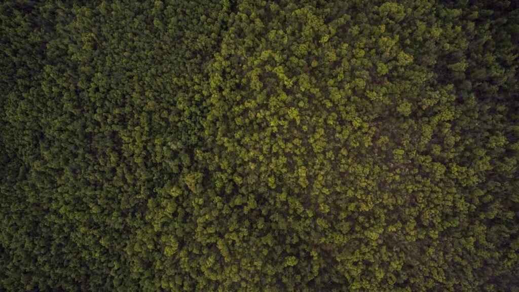 「もう疲れた」と思ったら、婚活を一旦止めてもいい