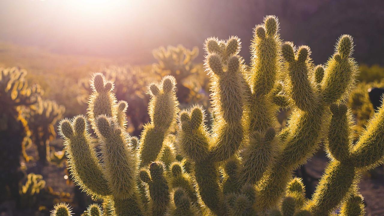 資料請求から無料カウンセリングへのスムーズな流れ